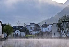 常见基本茶叶介绍大全